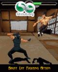Bruce Lee: Eisen erste 3D