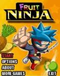 Fruit-Ninja