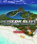 Tot oder lebendig Xtreme Beach Volleyball