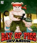 Bay Of Pigs Invasion