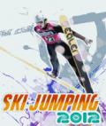 3 डी स्की जंपिंग 2012