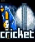 Super Cricket 2007 - One Day Wonders