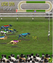 Greyhound Racing Games