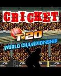 크리켓 T20 세계 선수권 대회