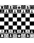 Шахматы 2