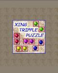 Xing Tripple Puzzle