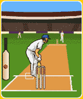 Cricket 50sN100s