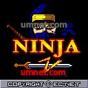 Legend of Ninja 2