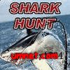 Shark Hunt