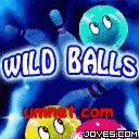 Wild Balls