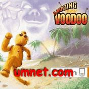 Amazing Pocket Voodoo
