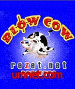 Blow Cow