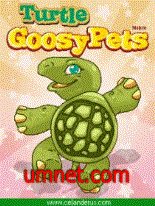 Goosy Pets Turtle