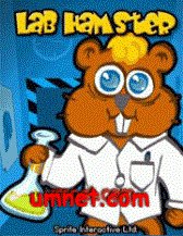 Lab Hamster Tamagotchi