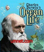 Ocean Life