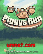 Piggys Run