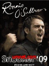 Ronnie O'Sullivan's Snooker 2009