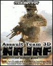 Assault Team 3D: NAJAF