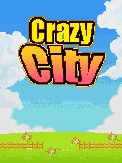 Crazy City