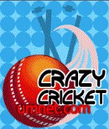 Crazy cricket