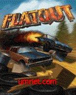 FlatOut Racing 3D
