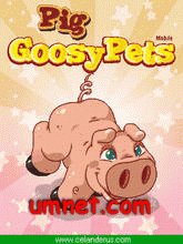Goosy Pets Pig
