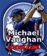 Michael Vaughan International Cricket 07-08
