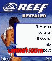 Miss Reef Revealed