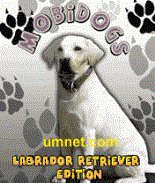 Mobidogs: Labrador Retriever Edition