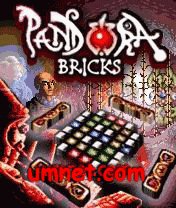 Pandora Bricks