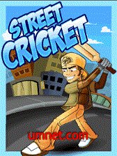 Street Cricket Game