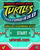 Teenage Mutant Ninja Turtles: Power of Four (TMNT)