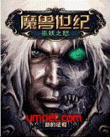 World Of Warcraft: Wrath Of The Lich King CN