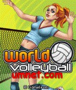 World Volleyball