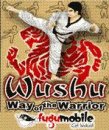 Wushu: Way Of The Warrior