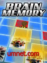 Brain Memory