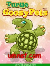 Goosy Pets Turtle