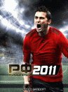 Real Football 2011 online
