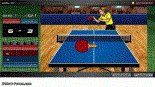 Ping Pong Table Tennis CN