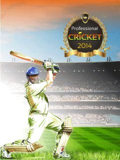 Professional cricket 2014