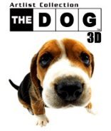 The Dog 3D: Beagle