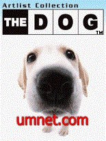 The Dog 3D: Labrador Retriever