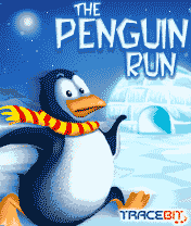 Penguin Run
