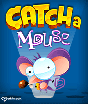 Catch a Mouse!