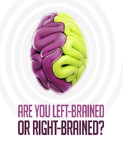 Are You Left Brained Or Right Brained?