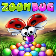 Zoom Bug
