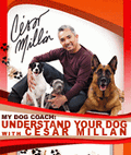 My Dog Coach: Understand Your Dog With Cesar Millan