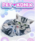 Pet Xonix