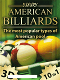 Luxury American Billiards