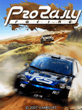 Pro Rally Racing